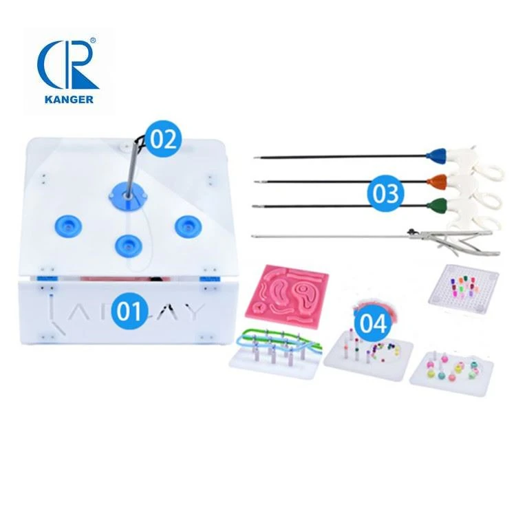 Endotrainer